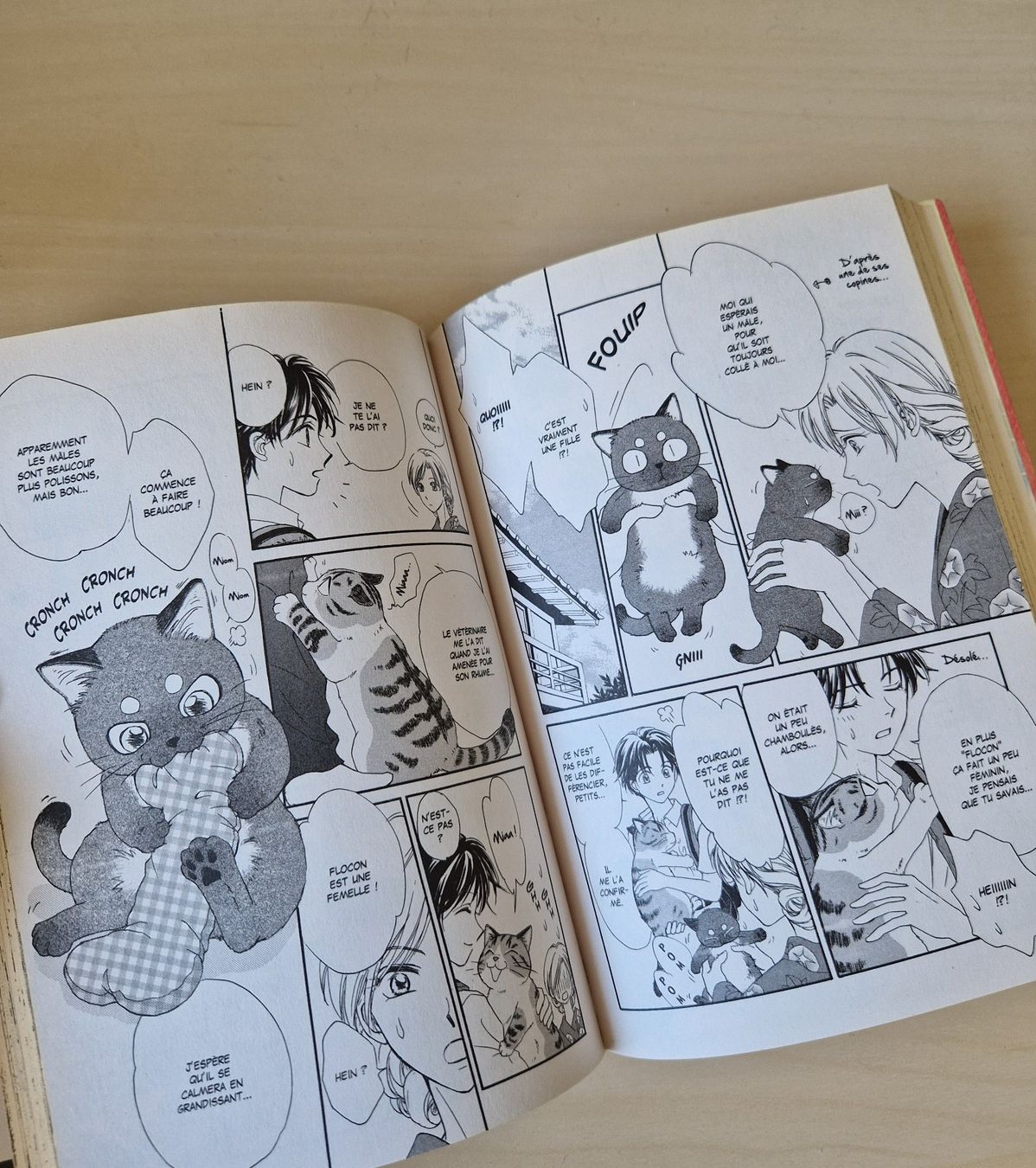 Fumetti: Plum tome 1 – Nuovo (secondo la descrizione) da Lausanne venduto da cori_dw9 2