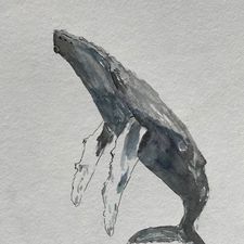 Profile image of Mikesch_61