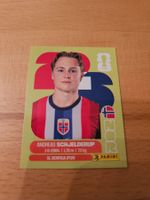 Panini WM 2026 NOR 12