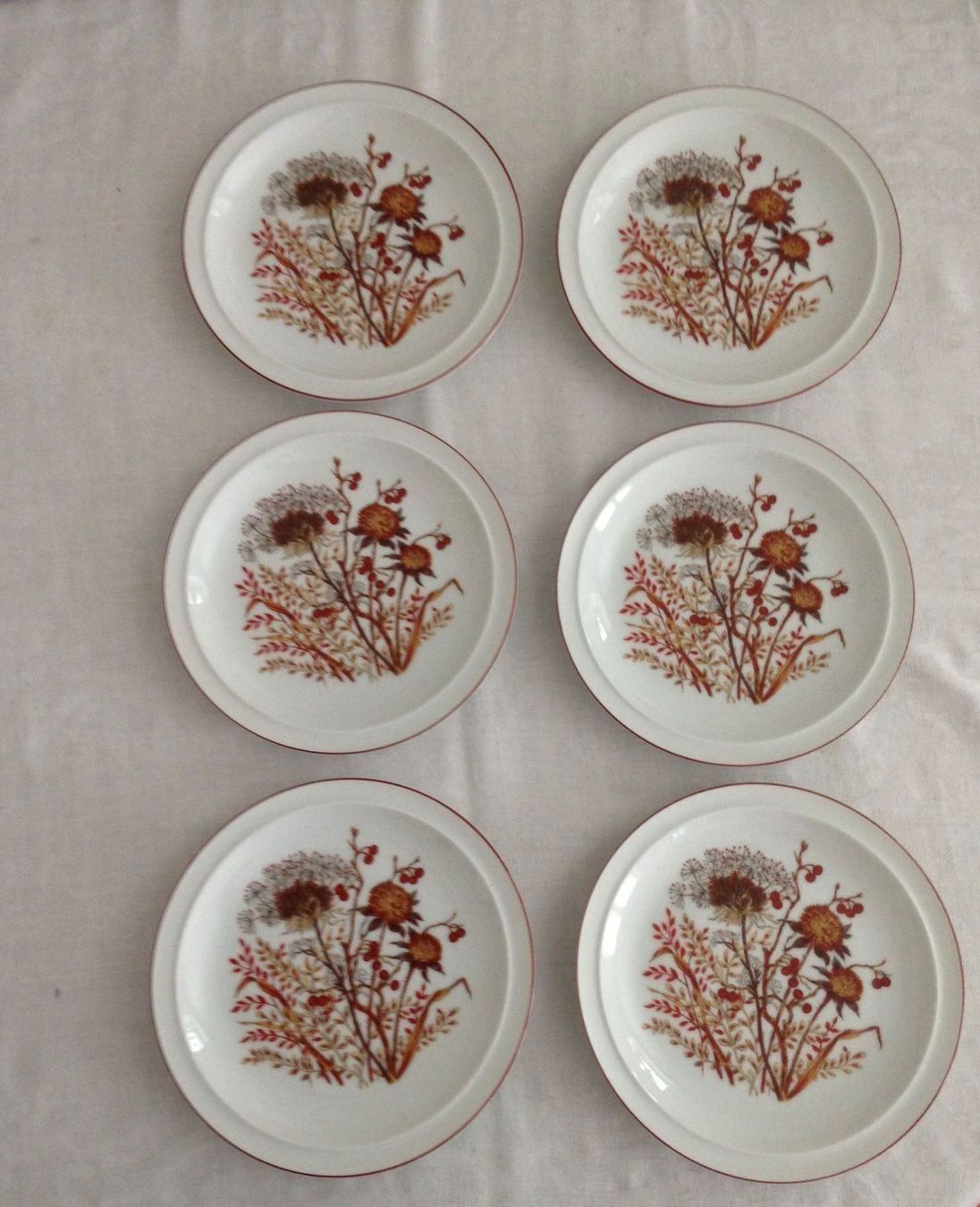 Piatti: Bramble Fancy Floral Collection 6 Teller – Nuovo e nell'imballaggio originale da Zürich venduto da loriana 3