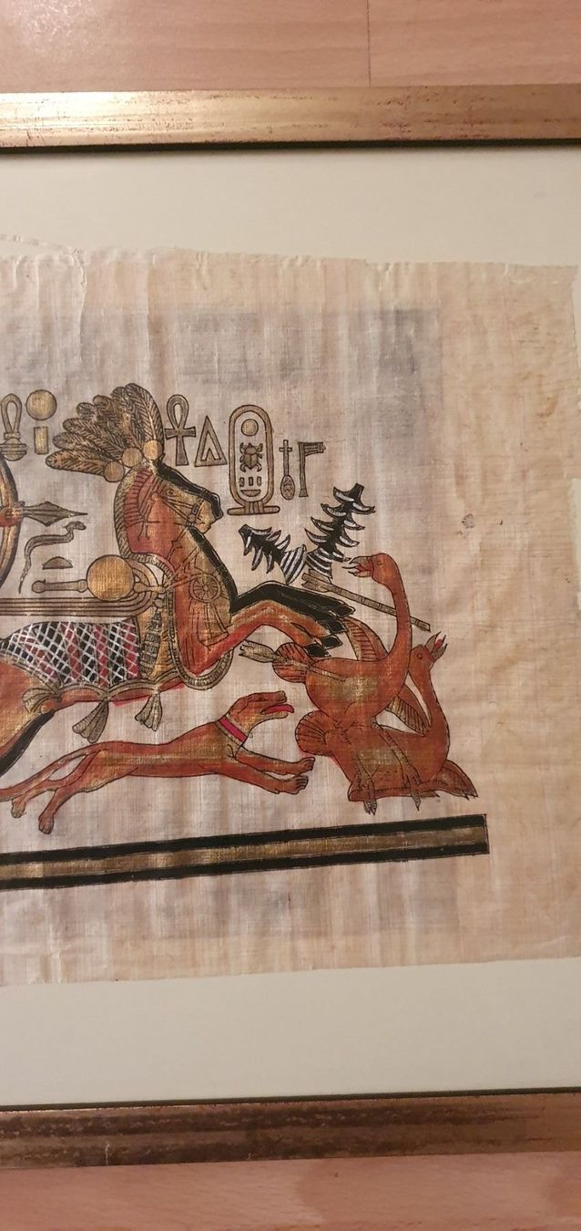 Poster & Bilder: Papyrus - Galerie Bild Ägypten – Gebraucht aus Rheineck von Jmurmeli 2