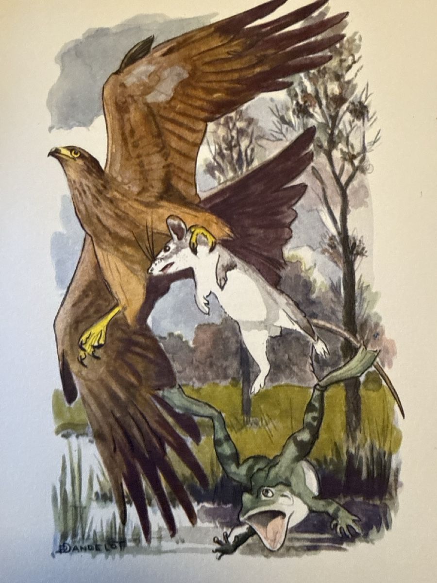 Libri: Fables complètes de LA FONTAINE Illustrations de DA – Usato da Schmitten FR venduto da Hohezelg 4