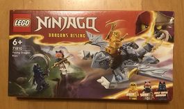 Lego Ninjago "Dragons Rising" 6+