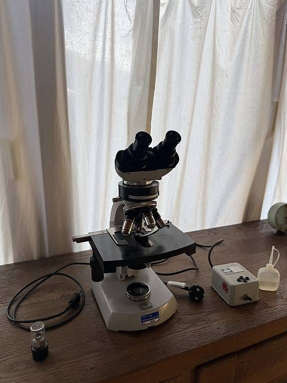 Microscopi: Carl Zeiss Labormikroskop mit 5 Plan-Objektiven – Usato da Dornach venduto da sim_x6mt