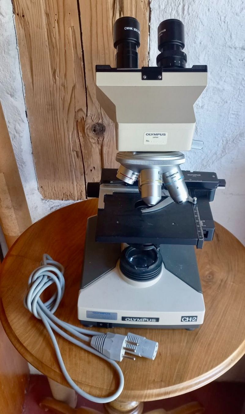 Olympus Mikroskopie: Mikroskop Olympus CH-2 – Gebraucht aus Burgdorf von glasrabe01