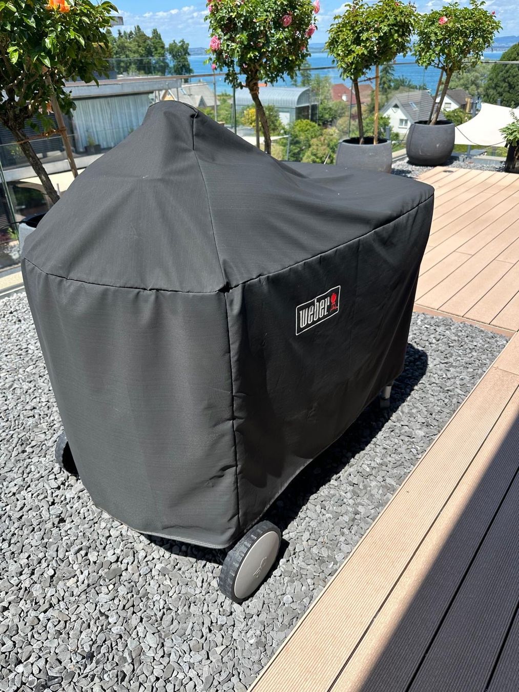 Weber Griglie: Weber Grill holzkohle – Usato da Dozwil venduto da boss3569 3