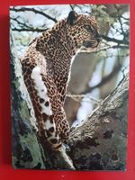 zoo ostafrika  /diverses