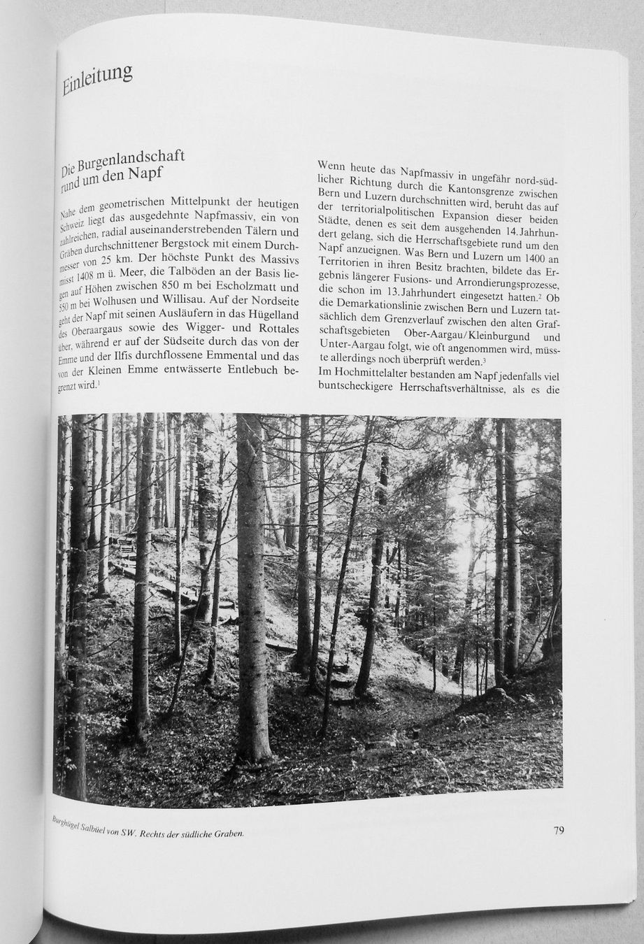 Libri: Pfostenbau und Grubenhaus – Usato da Burgdorf venduto da Joggigring 6