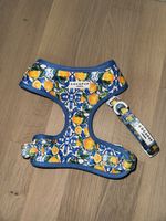 Hundegeschirr Cocopup London Zitronenmuster Grösse S