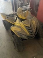 Mini Kinder Quadt ab Fr.1.-