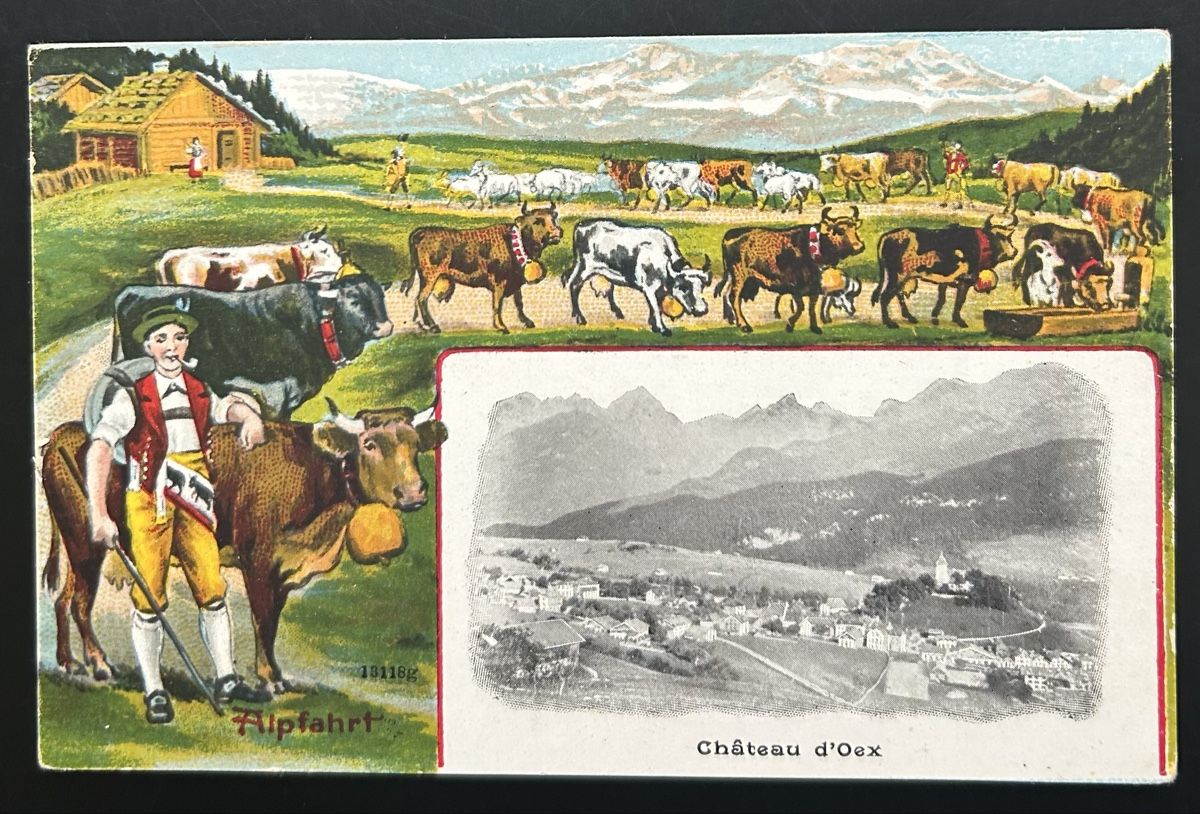 Cartoline postali: AK Chateau d‘Oex – Usato da Horw venduto da Tellbub