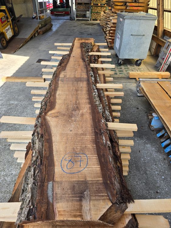 Articoli in legno: Nussbaumbrett Nr.87 (gut für Epoxidprojekt) – Nuovo (secondo la descrizione) da Lützelflüh-Goldb venduto da ch.waelchli-holz.ch 1