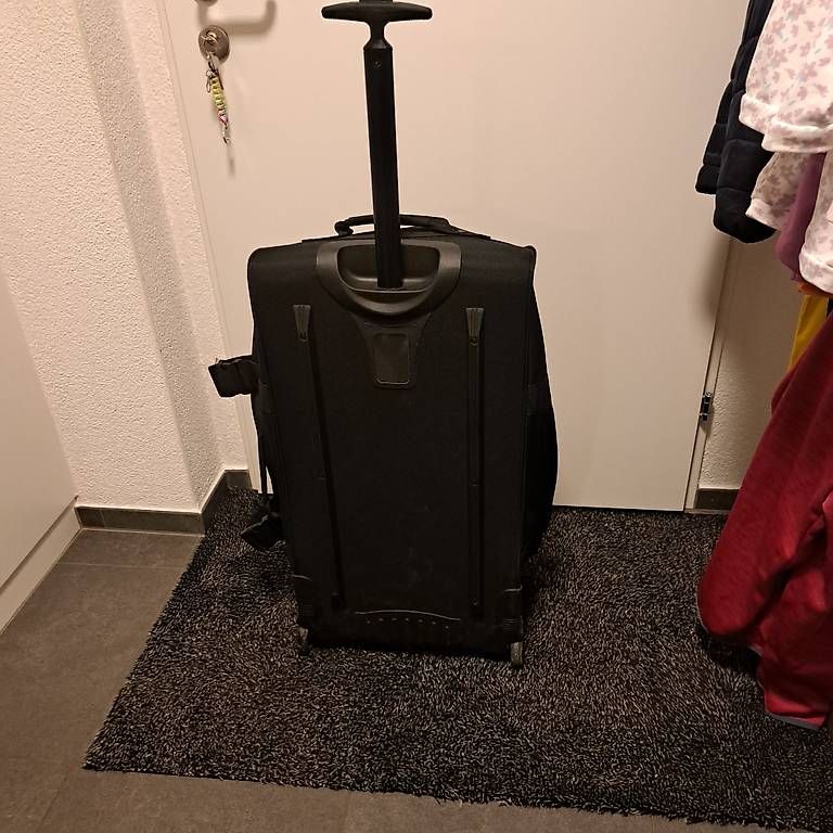 Valigie: ReiseTasche/Koffer  – Usato da Neftenbach venduto da sam_jbb5 1