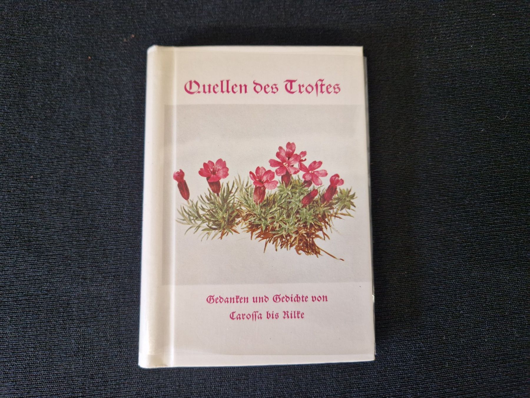 Libri: "Quellen es Trostes" – Usato da Muhen venduto da Restwert_Muhen