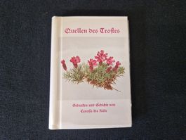 "Quellen es Trostes"