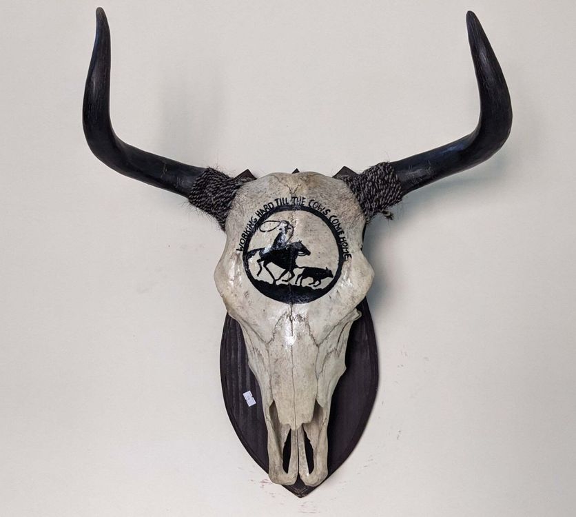 Real Hand-Carved Yak Skull/Bull Skull with Horns Home Décor | Acheter ...