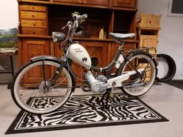 PONY JUNIOR-L Sachs 502 inkl. Fahrzeugausweis