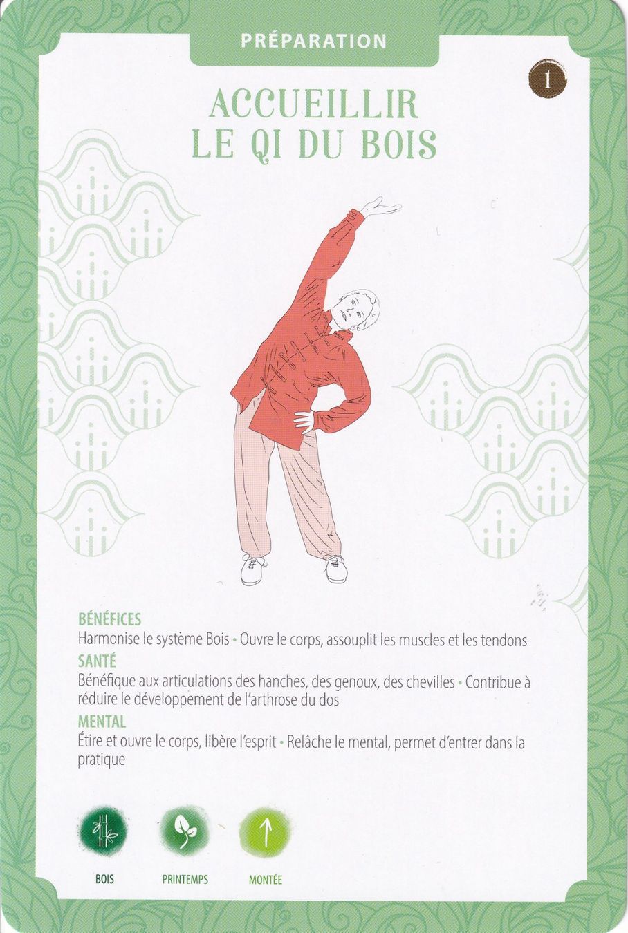Cartoline: Le Qi Gong des cinq éléments 75 cartes illustrées – Usato da Bern venduto da scorpionmaximus 3