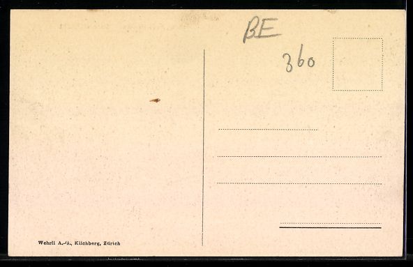 Cartoline postali: AK Zweisimmen, Generalansicht – Usato da Berlin venduto da bartko-reher 1