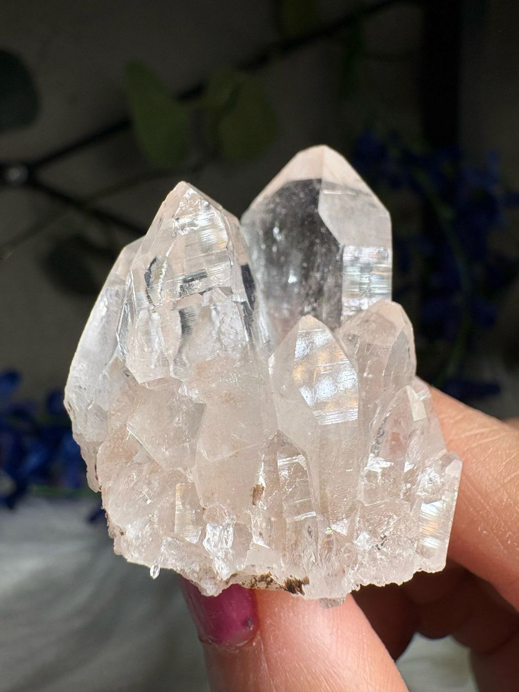 Minerali & Pietre curative: Himalaya-Quarz-Cluster – Nuovo (secondo la descrizione) da Neuheim venduto da m.hald 3