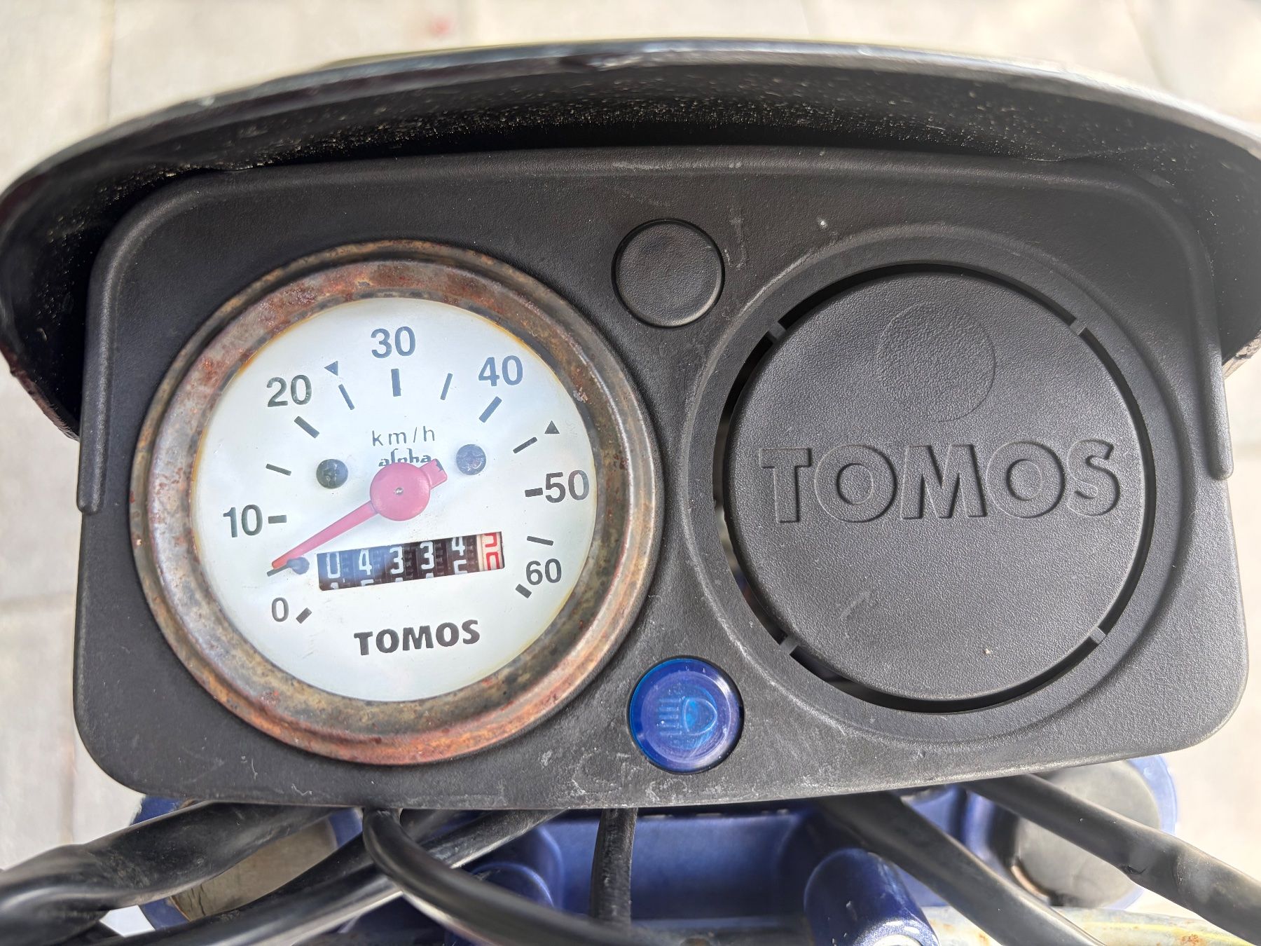 Tomos Ciclomotori: Tomos Sprint Mofa Töffli – Usato da Gränichen venduto da holliger00 7