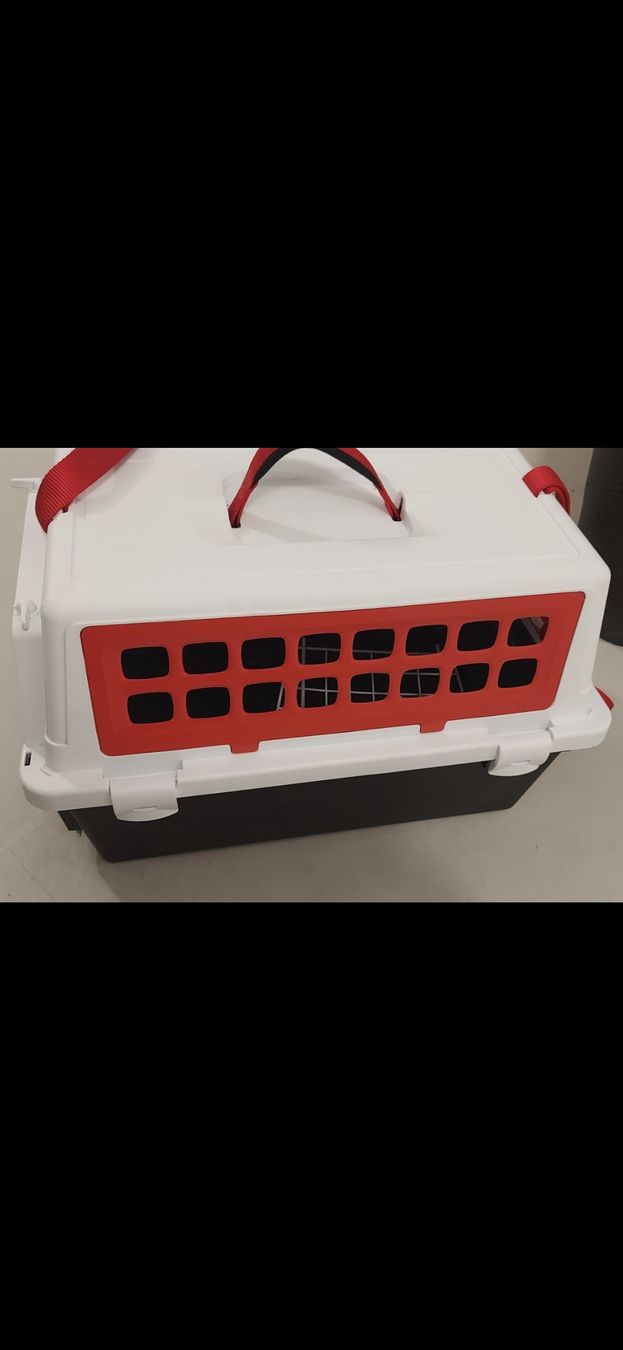 Käfige, Transport & Sicherheit: cage transport chat – Gebraucht aus Estavayer-Le-Lac von zazadavidson 1