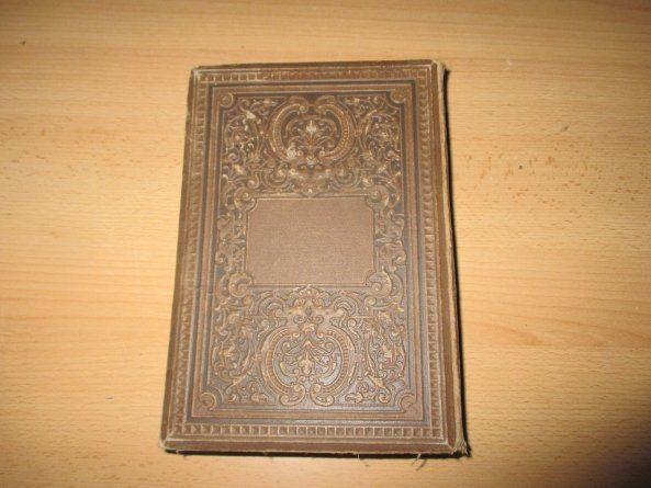 Bücher: Grube Geschichtsbilder 1885 – Defekt aus Flims - Dorf von Stagediver 8