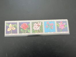 Nicaragua  Orchideen/Blumen 1967     ** (5138)