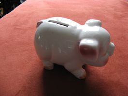 Sparsäuli, Sparschwein