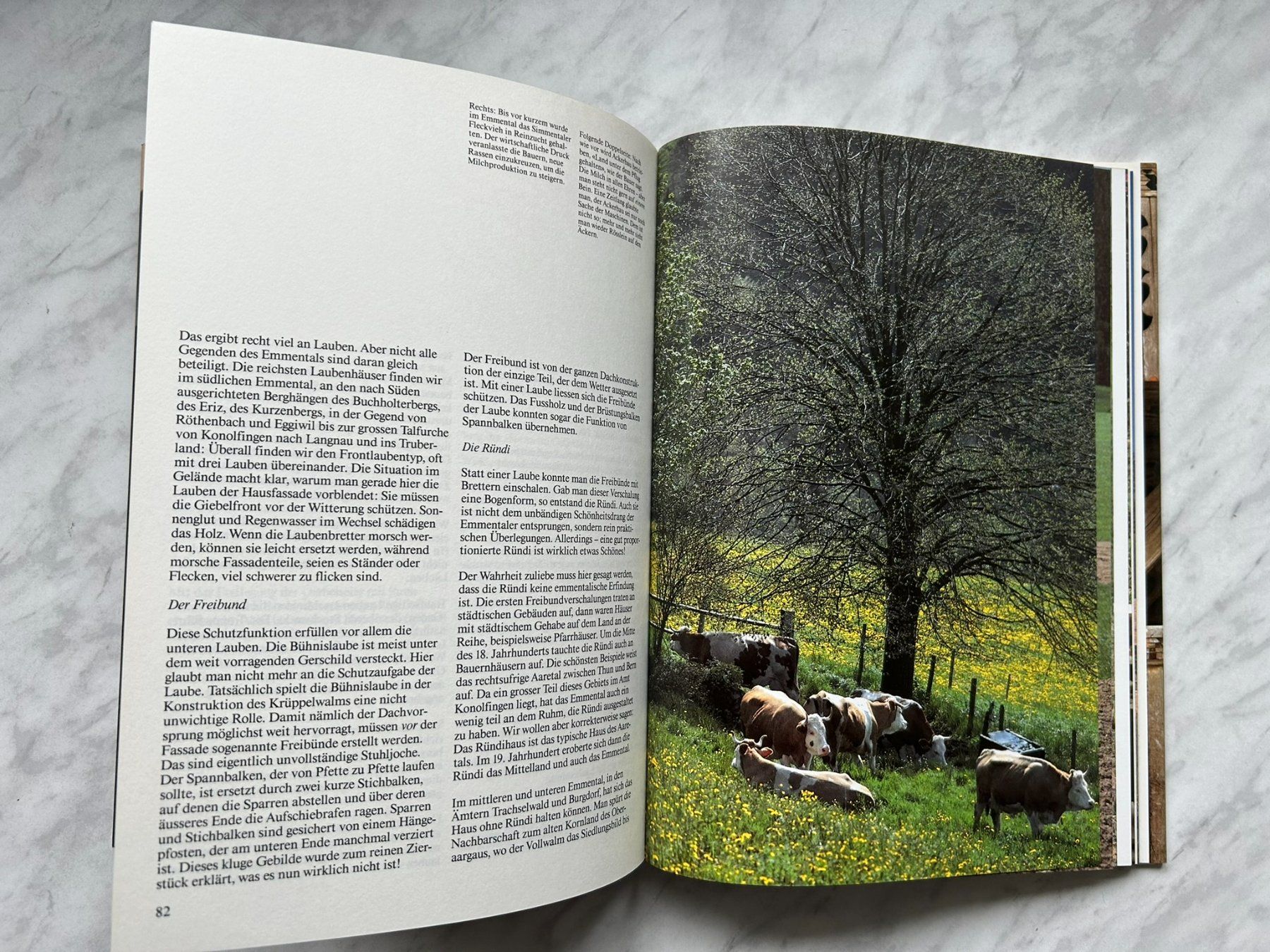 Libri: Emmental von Hans Schmocker Peter Studer – Usato da Mirchel venduto da buecher_wurm 6
