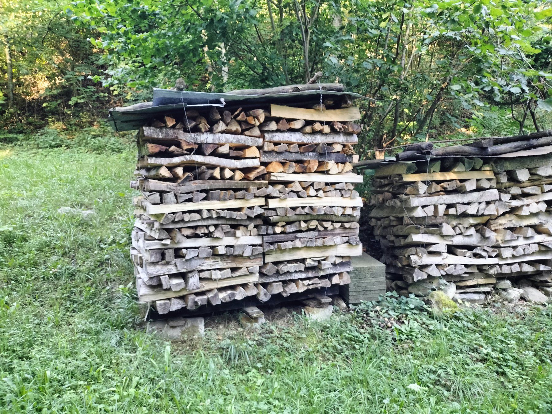 Holzartikel: Brennholz vorwiegend Buche – Neu (gemäss Beschreibung) aus Jona von nik_dwg2 1