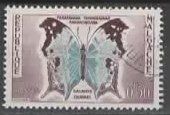 Rep. Malgache: Salamis Duprei  Schmetterling (13