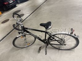 Pegasus Milano Fahrrad Herren 
