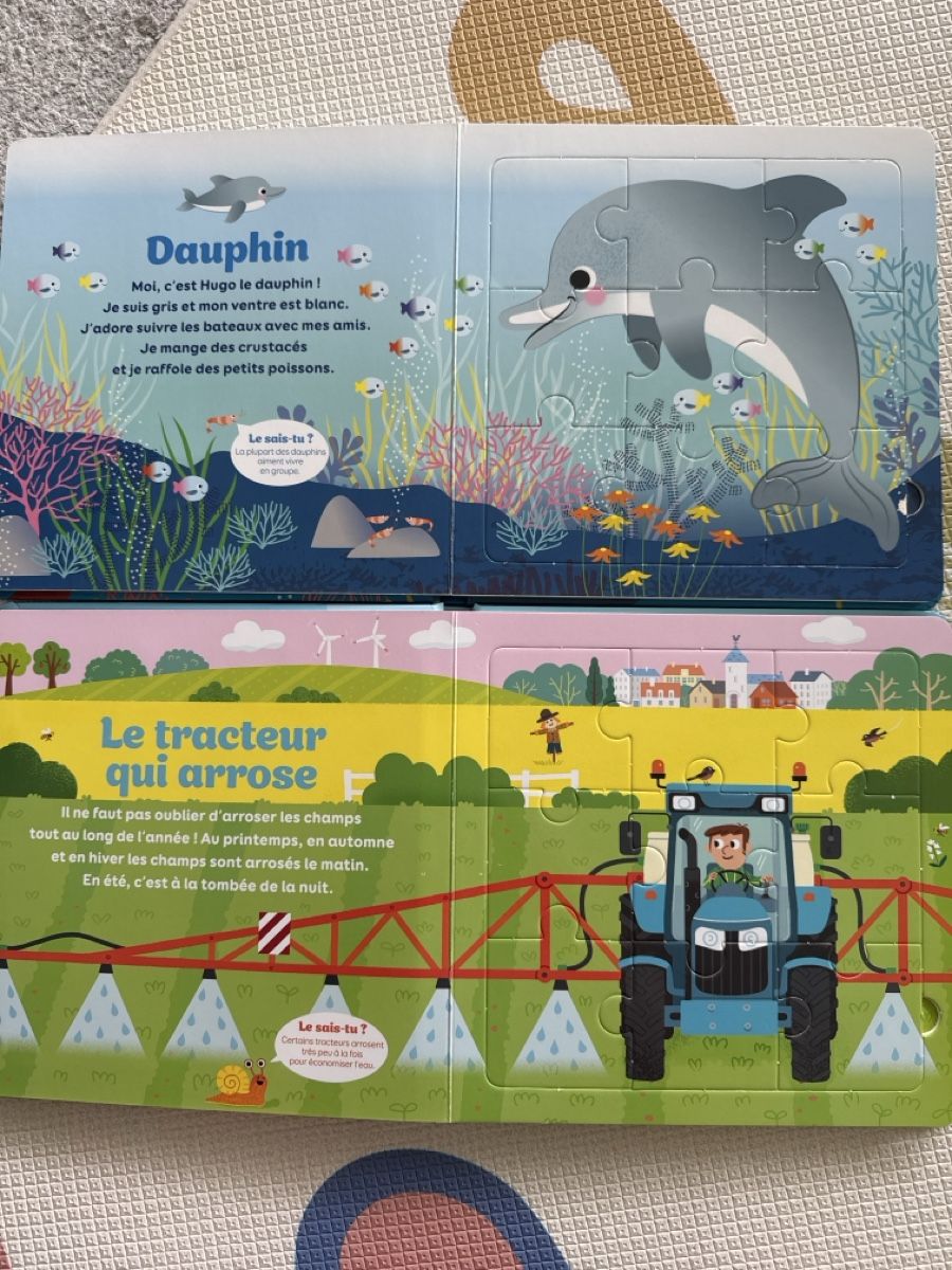 Bücher: 2 Puzzle books in French – Gebraucht aus Zug von axx3l 3