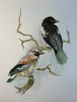 BÄR Willy (1909–1977) - Eichelhäher Paar - Lithographie