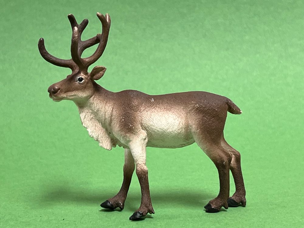 Schleich Rentier Ren | Kaufen auf Ricardo