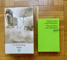 Der Zauberberg von Thomas Mann Roman & Erläuterungen NEU