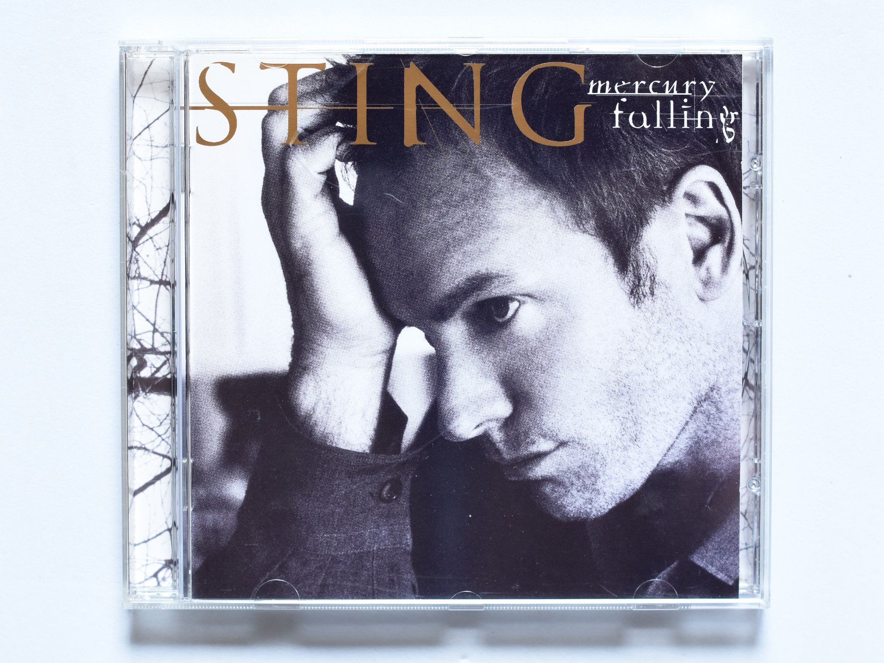CDs: Sting - Mercury Falling – D'occasion à Belmont-sur-Yverdon par ag97