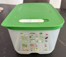 Tupperware Kühlschrank Box