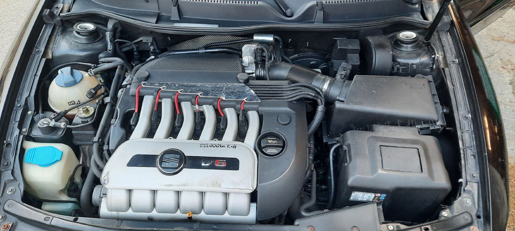 Seat Automobili: Seat Leon 1m VR 6 2.8l 4x4 – Usato da Glis venduto da  1