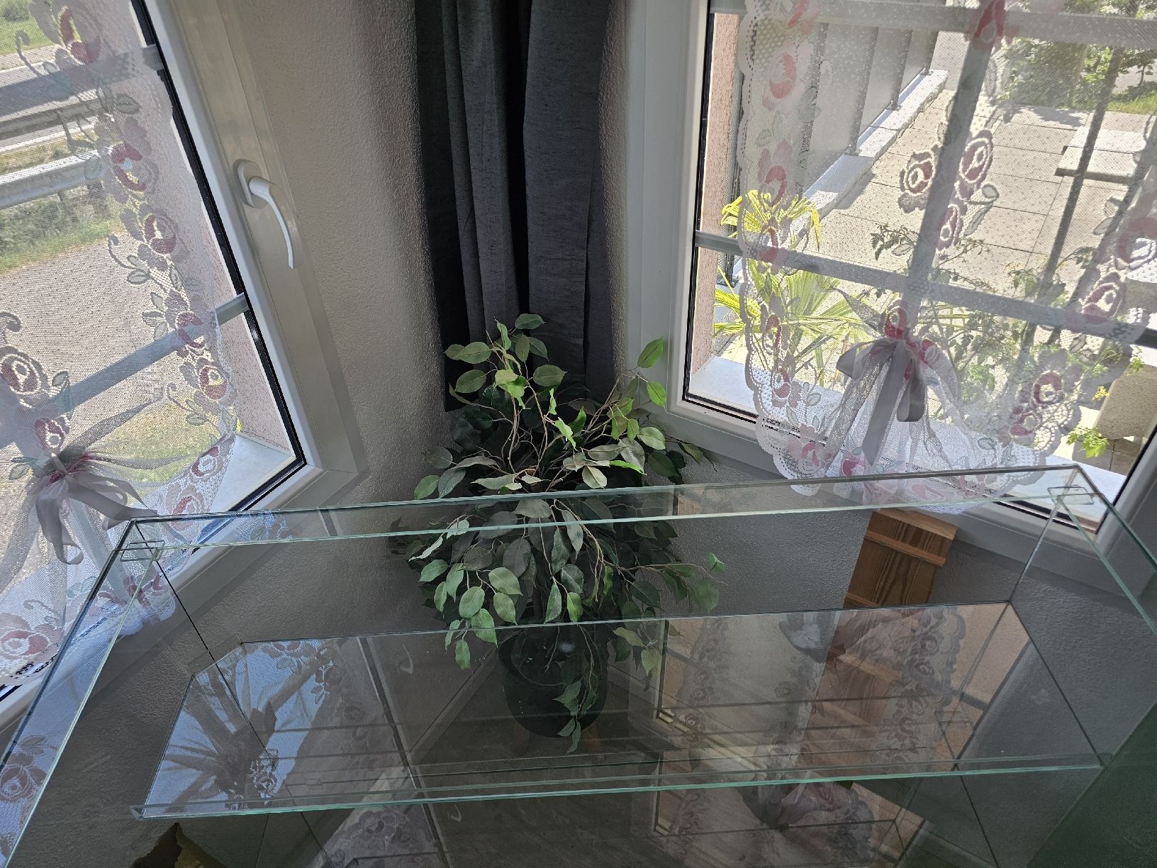 Terrariums: Terrarium – D'occasion à Escholzmatt par sim_82ct 2