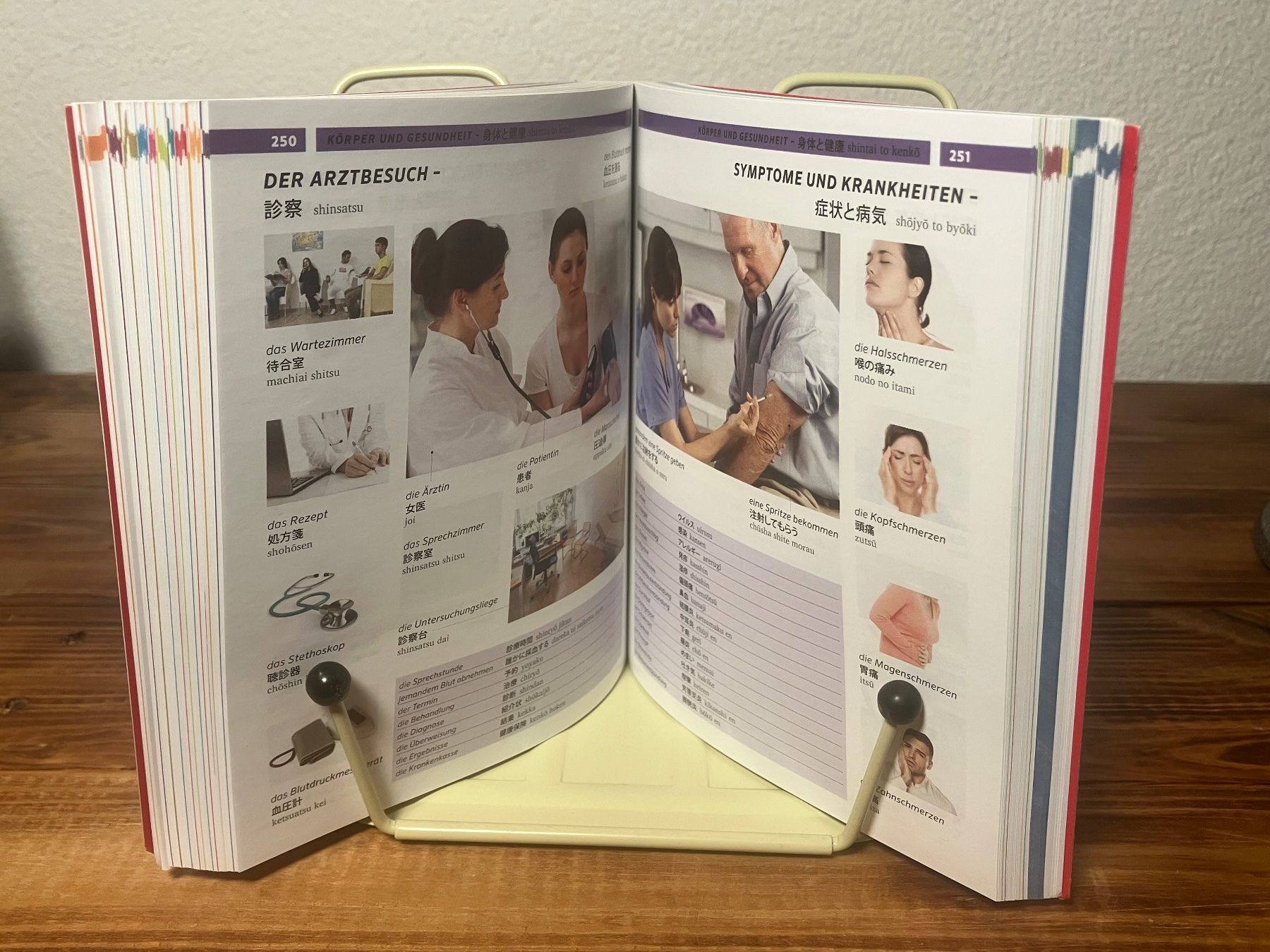 Libri: PONS Bildwörterbuch Japanisch-Deutsch – Usato da Grindelwald venduto da mekke.mekke 4