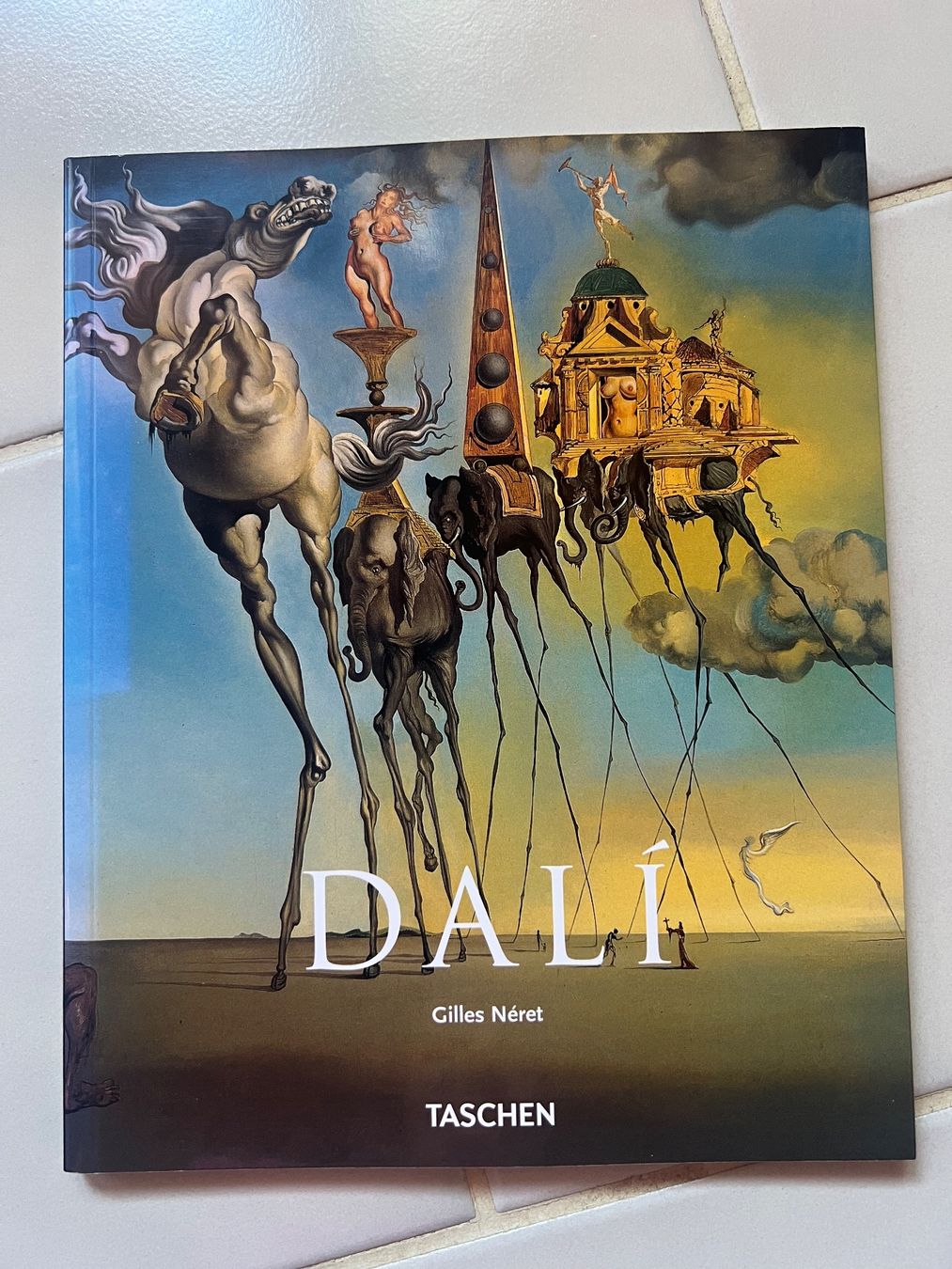 Libri: Dali – Nuovo (secondo la descrizione) da Lugnorre venduto da jul_lnh6