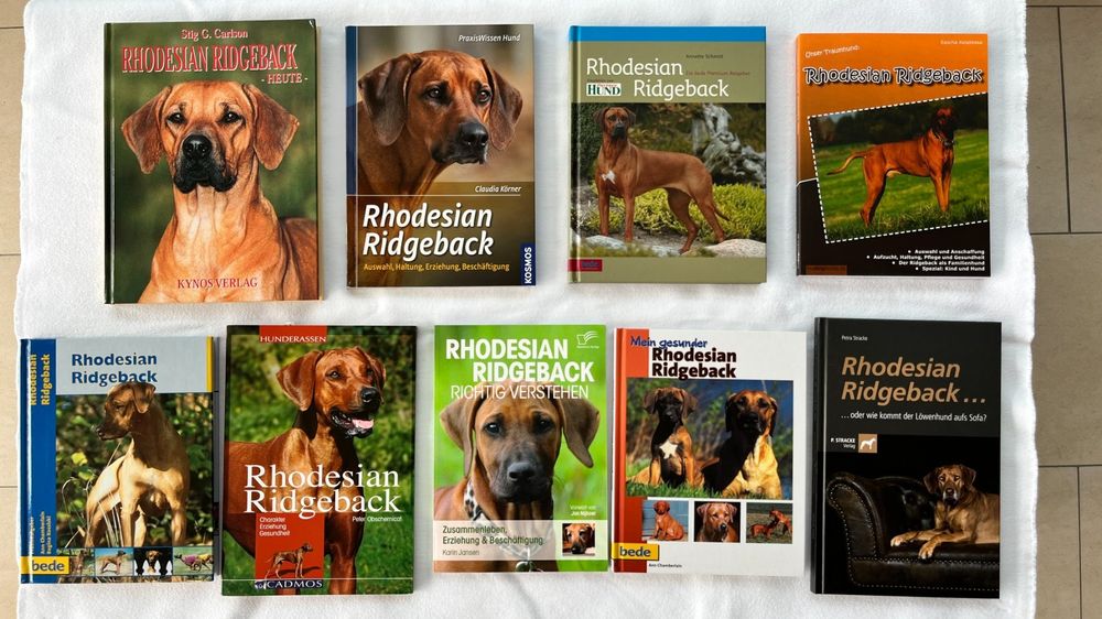 Rhodesian Ridgeback forever (Neu (gemäss Beschreibung)) in Niederbipp ...