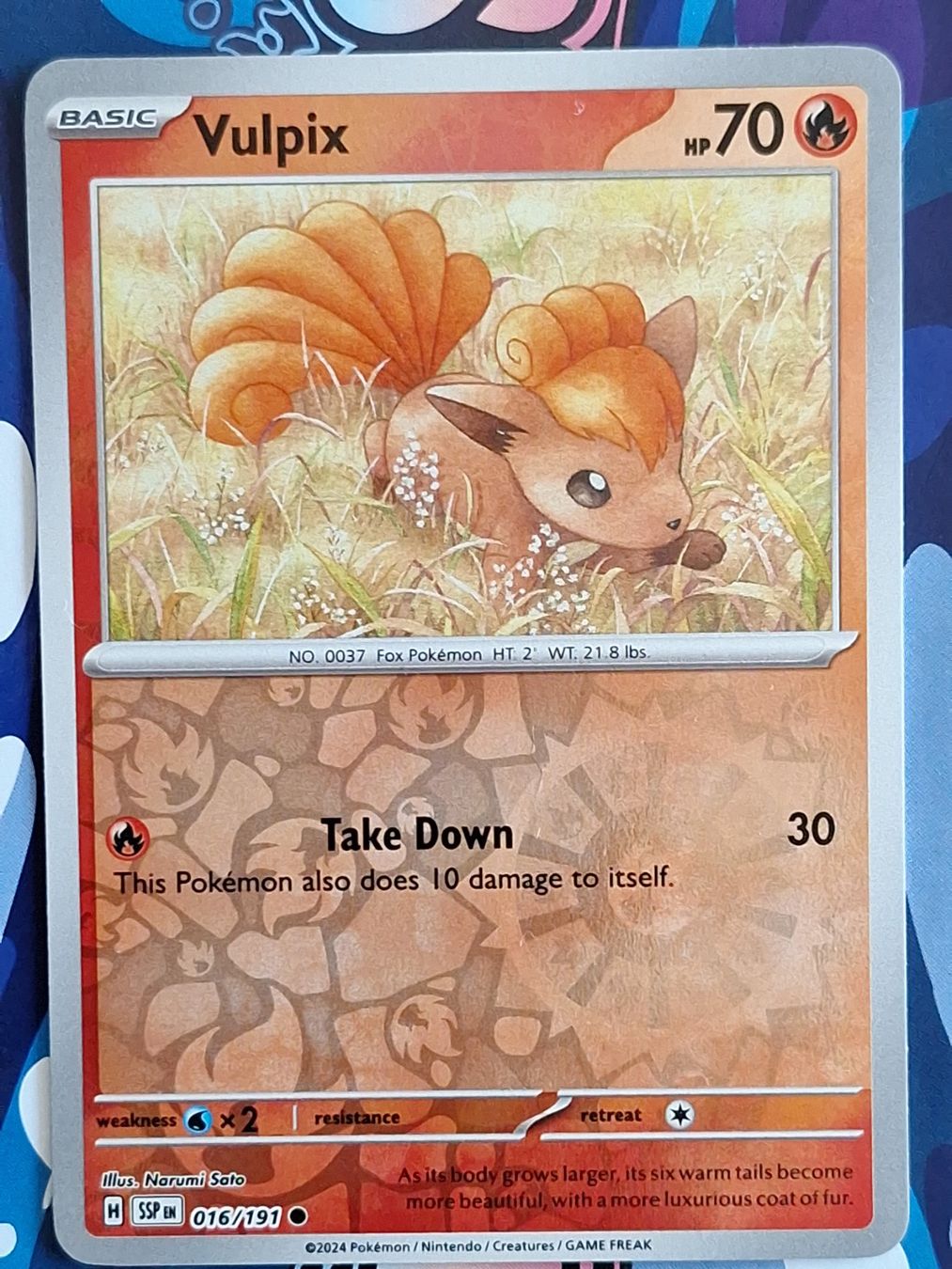 Pokémon Carte collezionabili: Vulpix - Reverse Holo - Pokemon Surging Sparks #1.5 – Usato da Altstätten SG venduto da GGsGameshop