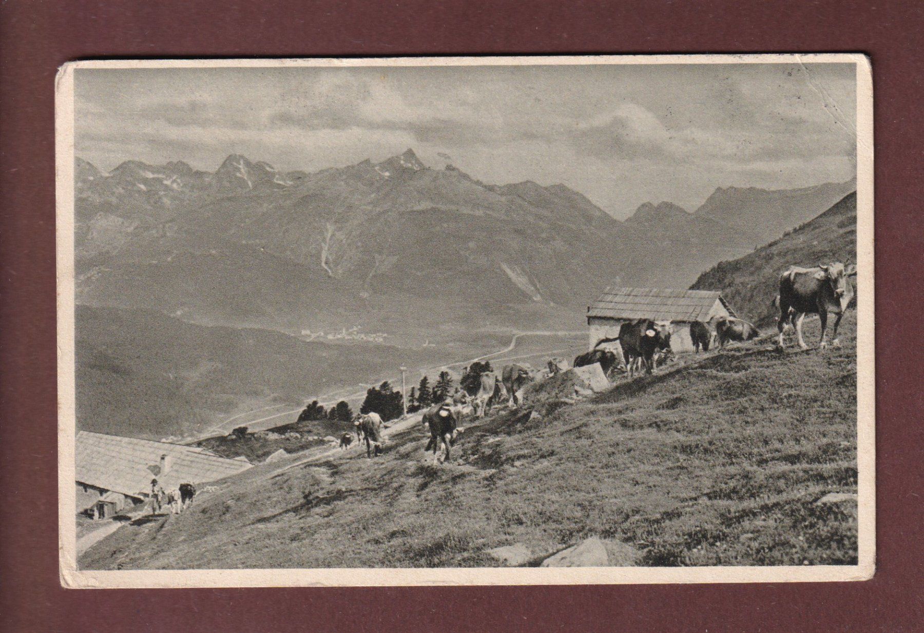 Cartoline postali: KUHHERDE auf der Alm - 1913 – Usato da Pully venduto da nicecards-shop
