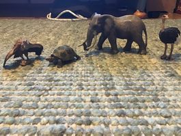 Schleich Tierfiguren Set Elefant,Vögel und eine Schildkröte
