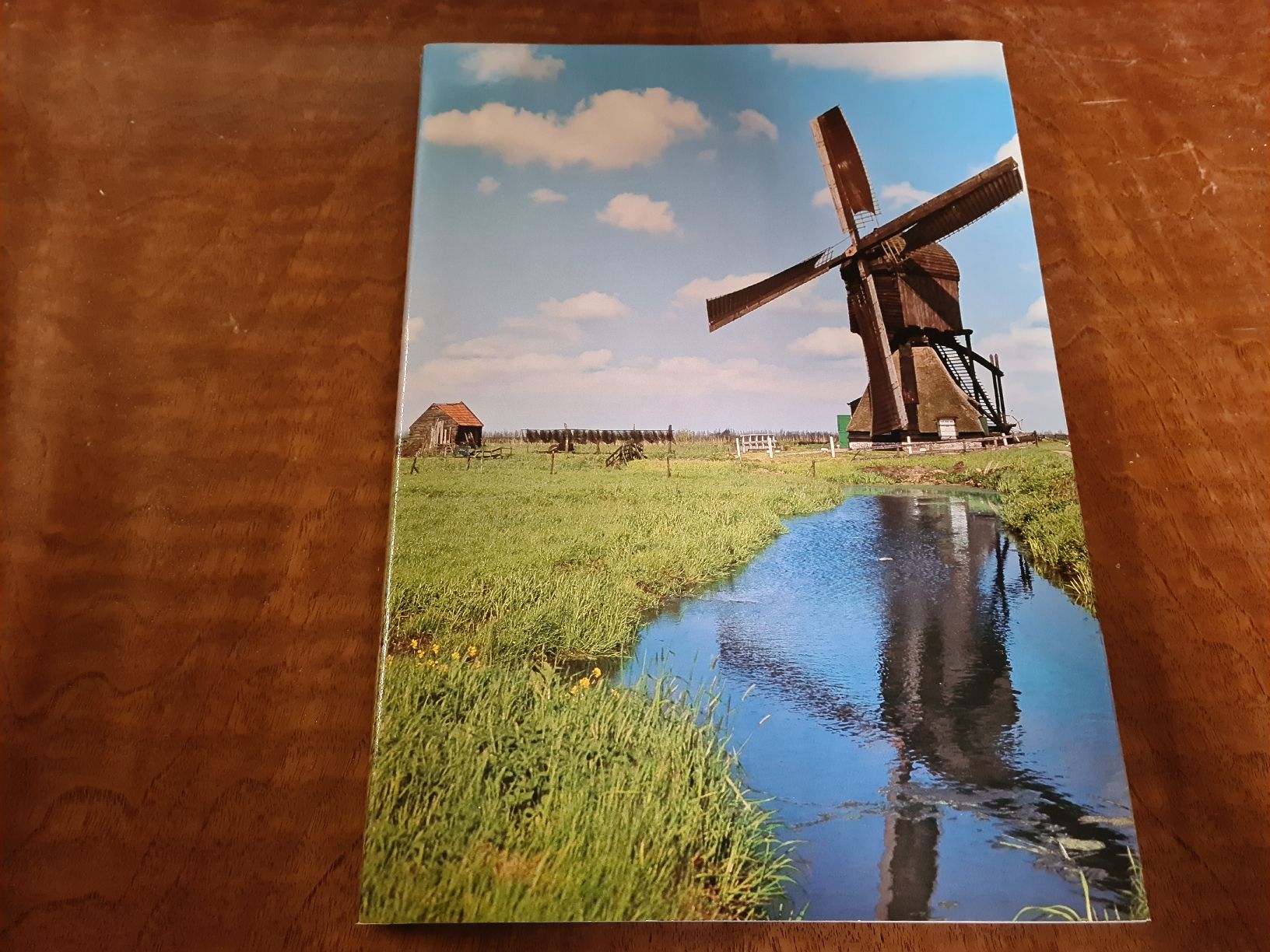 Libri: Holland – Usato da Erstfeld venduto da Uhu1980