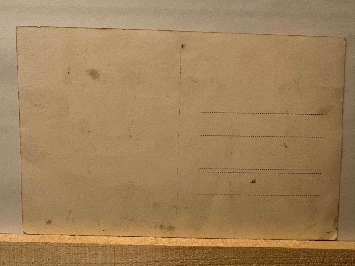 Ansichtskarten: AK von Bärndütsch Fescht 1924 – Gebraucht aus Rümlang von Kartenpost1 1