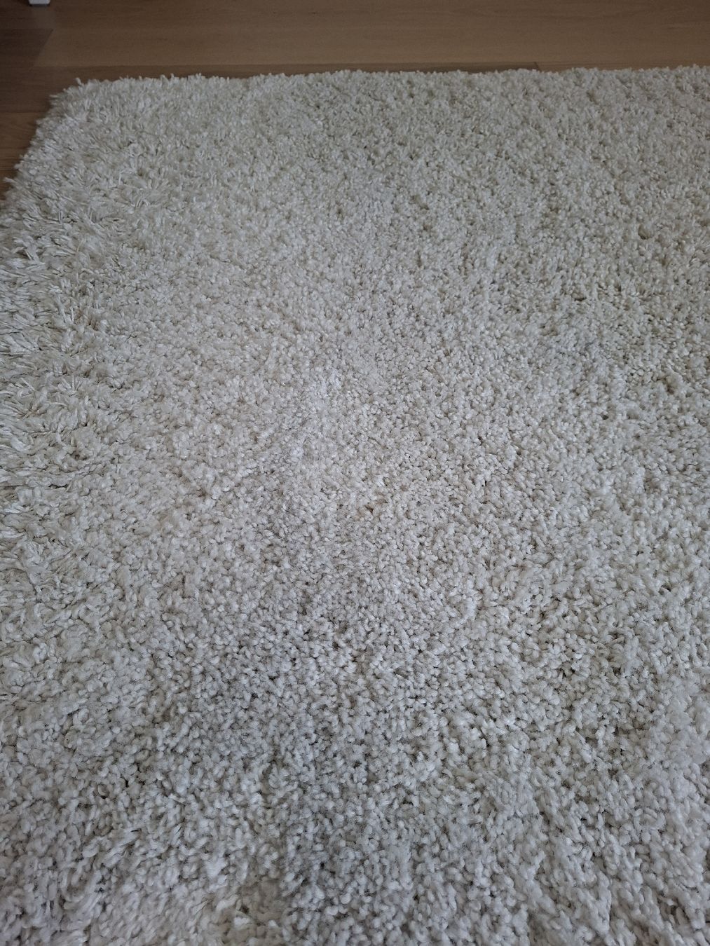 Tapis: Hochfloor Teppich – D'occasion à Gebenstorf par _sunflower_